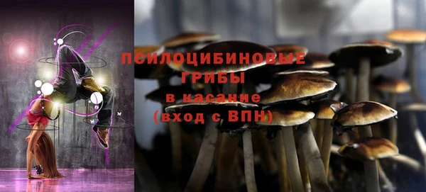 мяу мяу мука Алексин