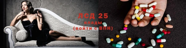 прущий лед Алзамай
