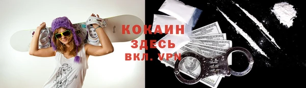 прущий лед Алзамай