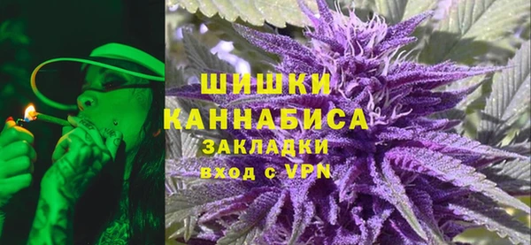 прущий лед Алзамай