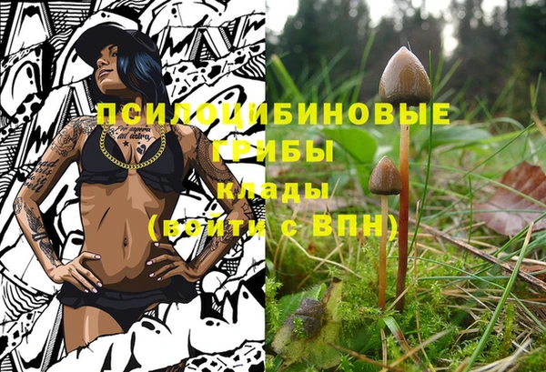 прущий лед Алзамай