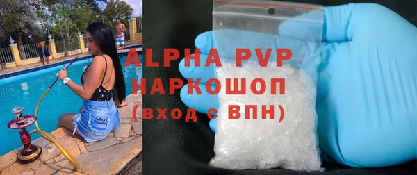 прущий лед Алзамай