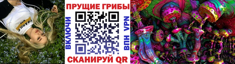 Псилоцибиновые грибы GOLDEN TEACHER  наркота  Белореченск 